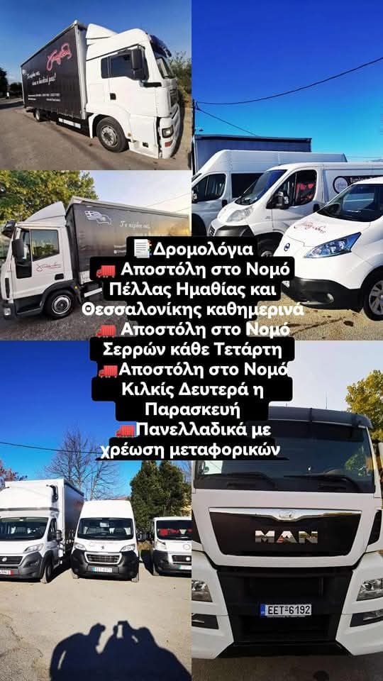 Π. ΓΕΩΡΓΙΑΔΗΣ ΕΜΠΟΡΙΚΗ  ΙΔΙΩΤΙΚΗ ΚΕΦΑΛΑΙΟΥΧΙΚΗ ΕΤΑΙΡΕΙΑ